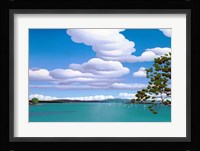 Oak Bay Fine Art Print