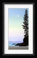 Summer Moon Fine Art Print