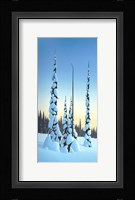 Snowbound Fine Art Print