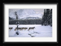 Emerald Lake Fine Art Print