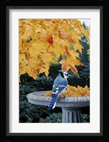 Autumn Birdbath Fine Art Print