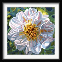 Solitaire Fine Art Print
