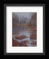 Wetland, Kensington Fine Art Print