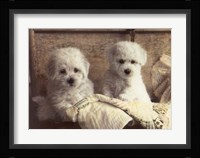 Twice As Nice Fine Art Print