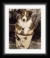 Potted Pup Framed Print
