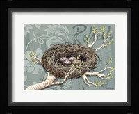 Refresh Framed Print