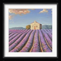 Campi di Lavanda (Detail) Fine Art Print