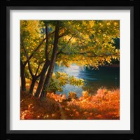 Radura sul Fiume Fine Art Print