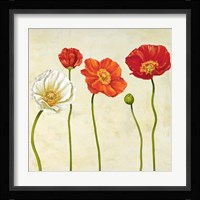 Coquelicots (Detail) Fine Art Print