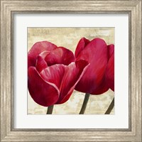 Red Tulips (Detail) Fine Art Print
