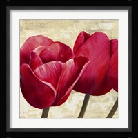 Red Tulips (Detail) Fine Art Print