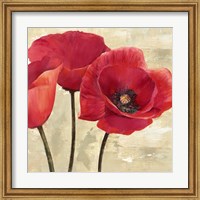 Red Poppies (Detail) Fine Art Print