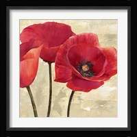 Red Poppies (Detail) Fine Art Print