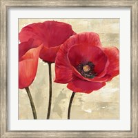 Red Poppies (Detail) Fine Art Print