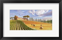 Colline Toscane Fine Art Print