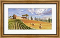 Colline Toscane Fine Art Print