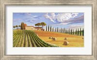 Colline Toscane Fine Art Print