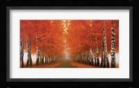 Viale di Betulle Fine Art Print