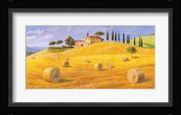 Colline in Toscana Fine Art Print