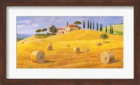Colline in Toscana Fine Art Print