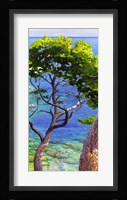 Lavandou II Framed Print