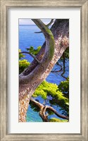 Lavandou III Fine Art Print