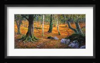 Sottobosco Fine Art Print
