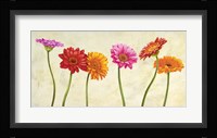 Gerberas Fine Art Print