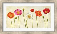 Coquelicots Fine Art Print