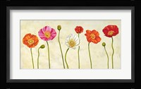 Coquelicots Fine Art Print