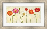 Coquelicots Fine Art Print