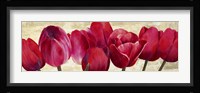Red Tulips Fine Art Print