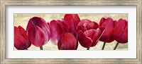 Red Tulips Fine Art Print