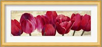 Red Tulips Fine Art Print