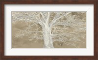 White Oak Fine Art Print