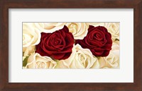 Rose Composition Fine Art Print