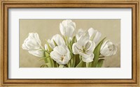 Tulipani Bianchi Fine Art Print