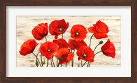 French Poppies Fine Art Print