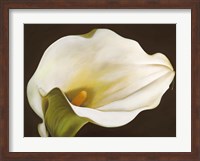 Calla Fine Art Print