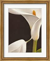 Calla Moderna I Fine Art Print