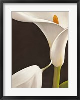 Calla Moderna I Framed Print