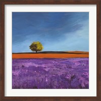 Field of Lavender (Detail) Fine Art Print