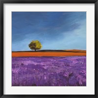 Field of Lavender (Detail) Fine Art Print