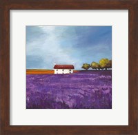 Field of Lavender I Fine Art Print