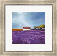 Field of Lavender I Fine Art Print