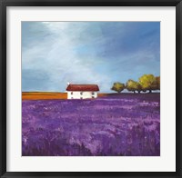 Field of Lavender I Framed Print