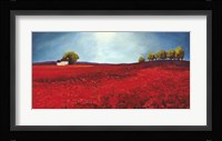 Field of Poppies Fine Art Print