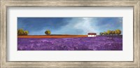 Field of Lavender II Fine Art Print