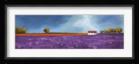 Field of Lavender II Fine Art Print
