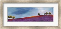 Late Afternoon Fine Art Print